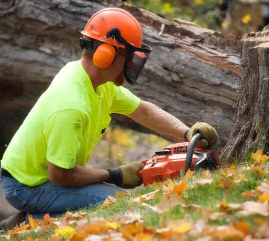 tree services Glendora